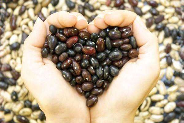 Feijões: qualquer tipo oferece uma porção generosa de fibras com pouco açúcar. E tem uma benefício extra: a proteína.