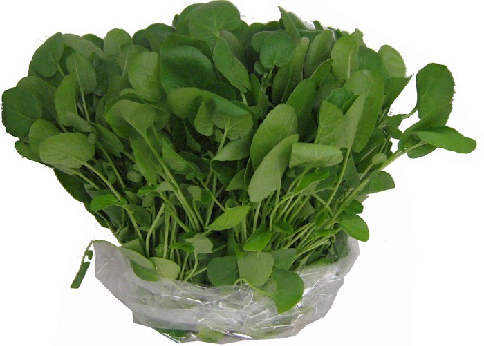 O número 1 do mundo é o agrião. Confira a lista: couve chinesa, aipo, rabanete, alface, nabo, cenoura, couve-flor, brócolis, espargos, tomates, espinafres, melancia, morango, ameixa branca e encarnada.
