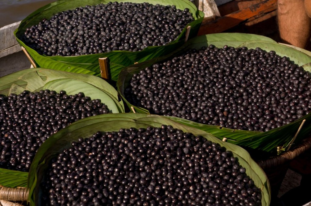 Planta medicinal com poderoso efeito antioxidante, anti-inflamatório, vasodilatador, energético. Indicado na prevenção de doenças cardíacas. Bata no liquidificador com banana ou maçã e terá um excelente lanche da tarde.