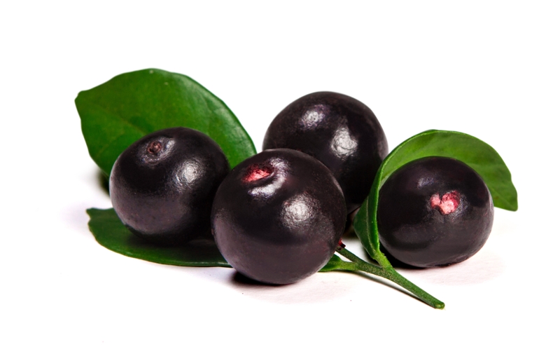 Essa frutinha amazônica virou uma coqueluche entre os praticantes de esporte e os frequentadores de academia. O seu handicap são as calorias: 280 kcl em 100 gramas. O ideal é comer o açaí puro ou em forma de suco.