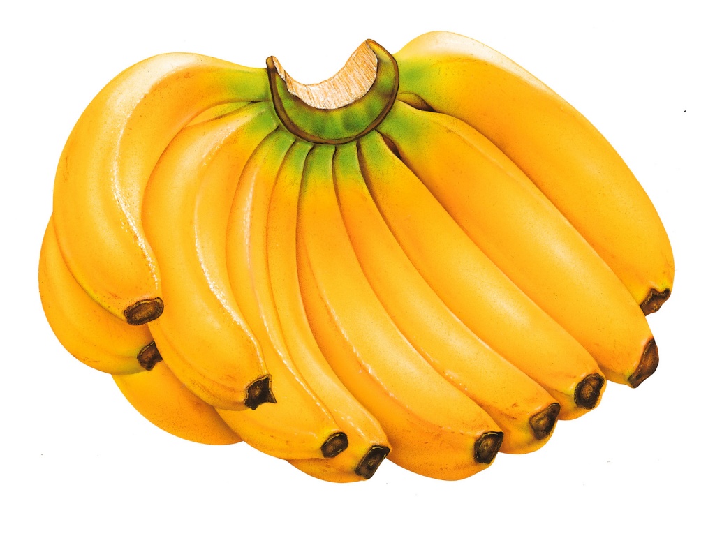 Um dos alimentos mais consumidos no Brasil, a banana ajuda a emagrecer e faz bem ao coração. Quando ela ainda está um pouco verde, tem maiores concentrações do amido que acelera o metabolismo
