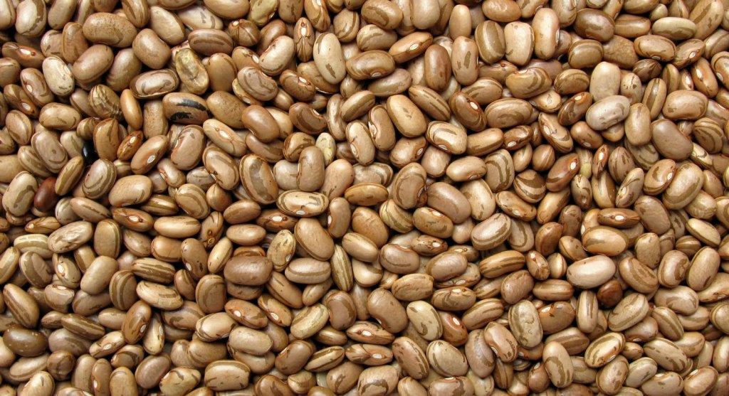 O feijão é turbinado de fibra solúvel, que aumenta a sensação de saciedade. Uma boa dica é misturá-lo ao arroz integral. Uma concha por dia é o recomendado.