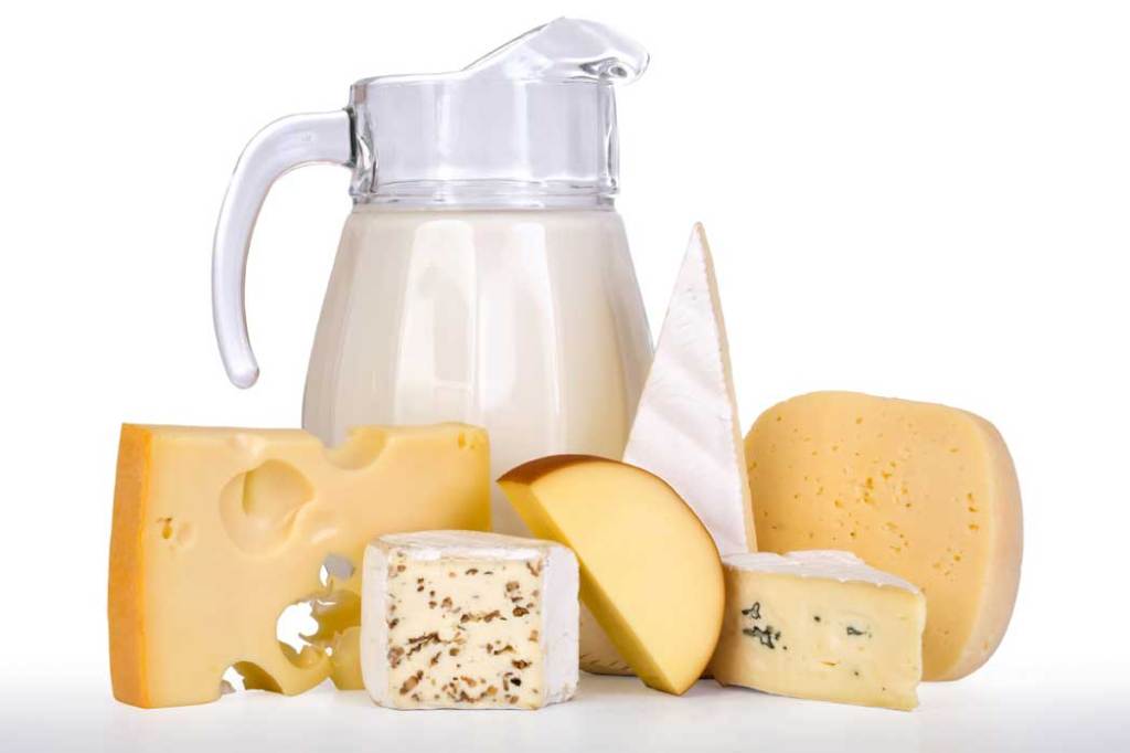Excelente fonte de proteínas, minerais (cálcio e fósforo) e vitaminas. O consumo de produtos lácteos fermentados, como o iogurte e o kefir, traz uma série de benefícios que ajudam a regular o funcionamento da flora intestinal.