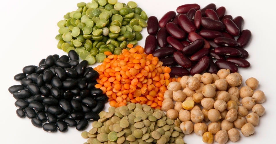 Como possuem fibras e proteínas vegetais, o seu consumo regular combate a obstipação, evitando câncer do intestino e diminuindo o colesterol ruim (LDL).