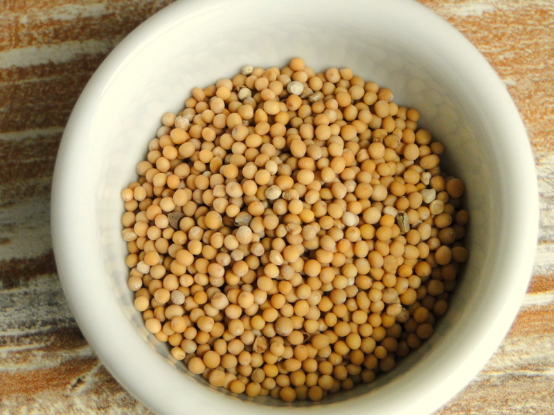 A semente de mostarda, a pimenta vermelha, o gengibre o vinagre de maçã e o guaraná são os mais conhecidos alimentos termogênicos.