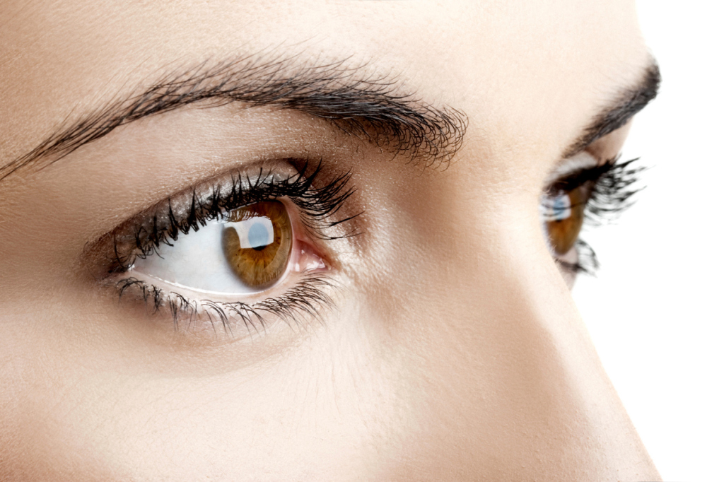 O abacate possui mais do caratenoide luteína do que a maioria das frutas. A luteína protege contra a catarata e a degeneração macular.