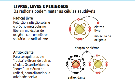 Os radicais livres também aparecem em decorrência do estresse da vida moderna, da poluição, do contato com pesticidas aplicados nas lavouras e através dos aditivos da comida industrializada (conservantes, acidulantes, estabilizantes e toda a porcaria da indústria alimentícia)