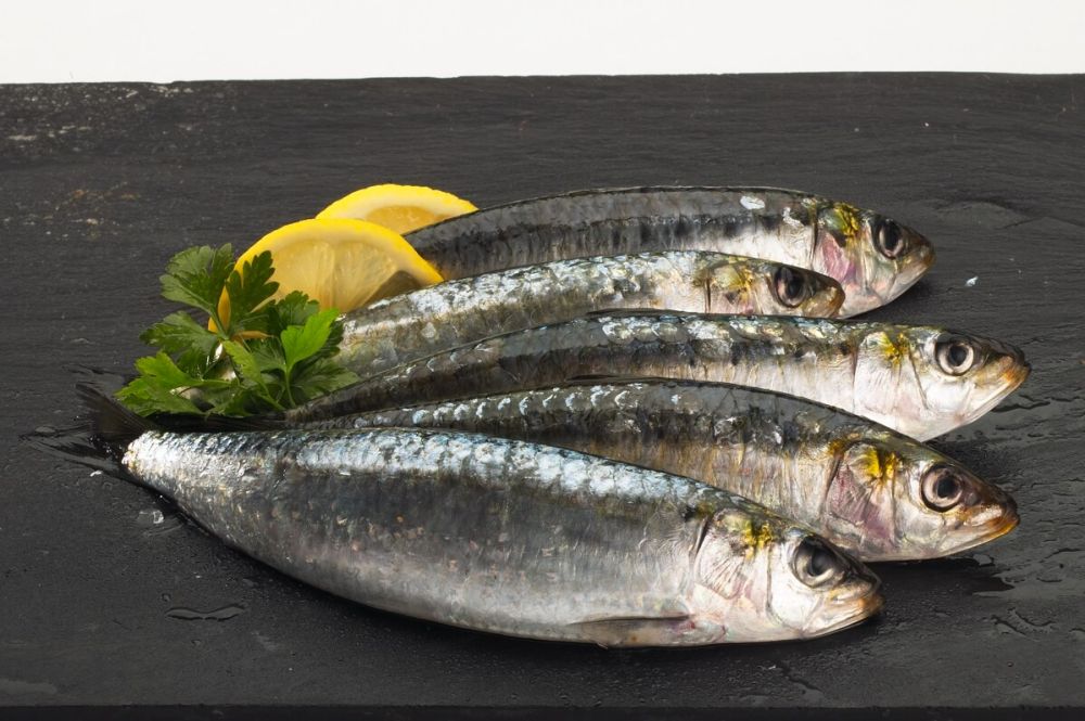 A sardinha está na segunda posição dos peixes mais ricos em ômega-3