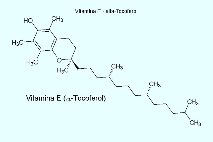 Abacates tem alta concentração de vitamina E, uma vitamina essencial para a vida humana que ajuda a prevenir muitas doenças.