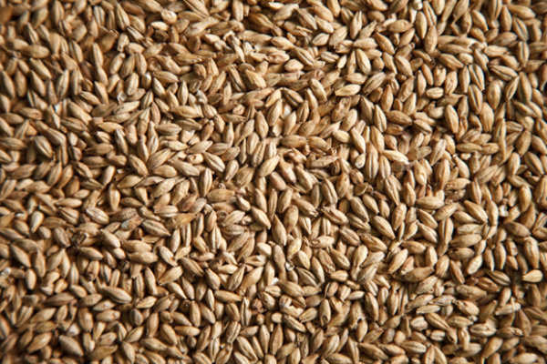 É o cereal com menos gordura, o que favorece o emagrecimento. Além de fibras e carboidratos, a cevada tem vitaminas do complexo B, magnésio e celeno.