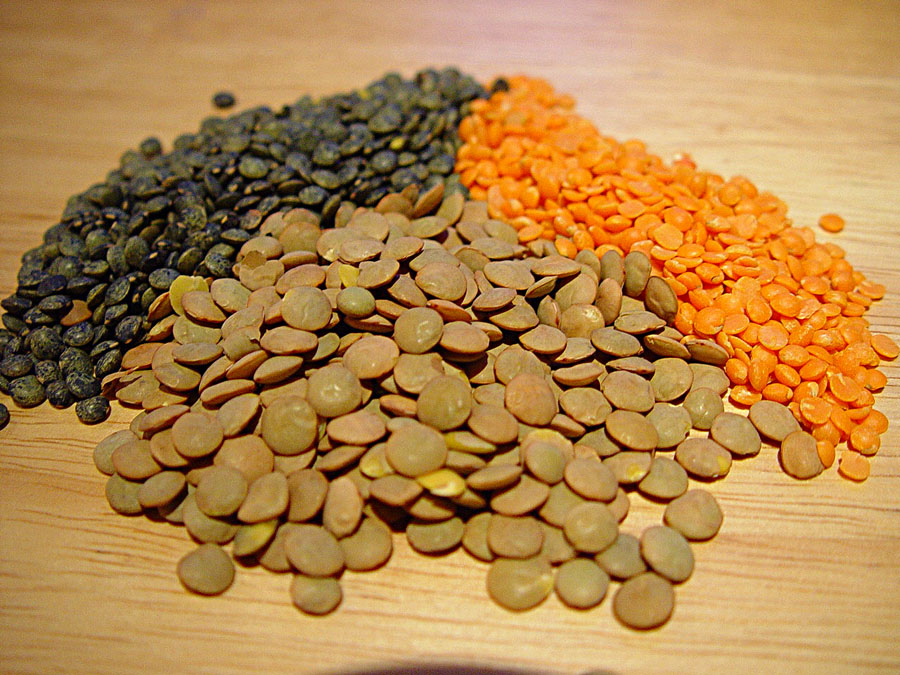 As pessoas só se lembram da lentilha nas festas de final de ano mas depois ela passa o resto do tempo esquecida. Rica em proteína vegetal, auxilia na formação da massa muscular e nas cicatrizações de ferimentos. A lentilha tem também alto teor de fibras, vitaminas, ferro e muito pouca gordura. É um excelente substituto para o feijão pois é muito mais leve e não provoca gases.