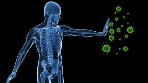 O óleo de coco combate e previne contra o ataque de fungos e bactérias, que ameaçam nossa saúde, e melhora a absorção de nutrientes, reforçando a defesa do organismo. Isso ocorre por causa da presença do ácido láurico, presente no leite materno, que combate inúmeras infecções.
